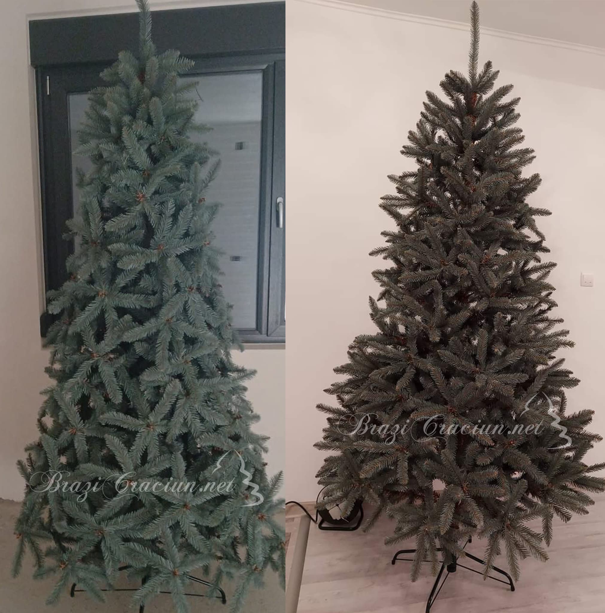 diferente montaj la bradul artificial Molid Argintiu