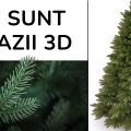 ce sunt brazii 3D