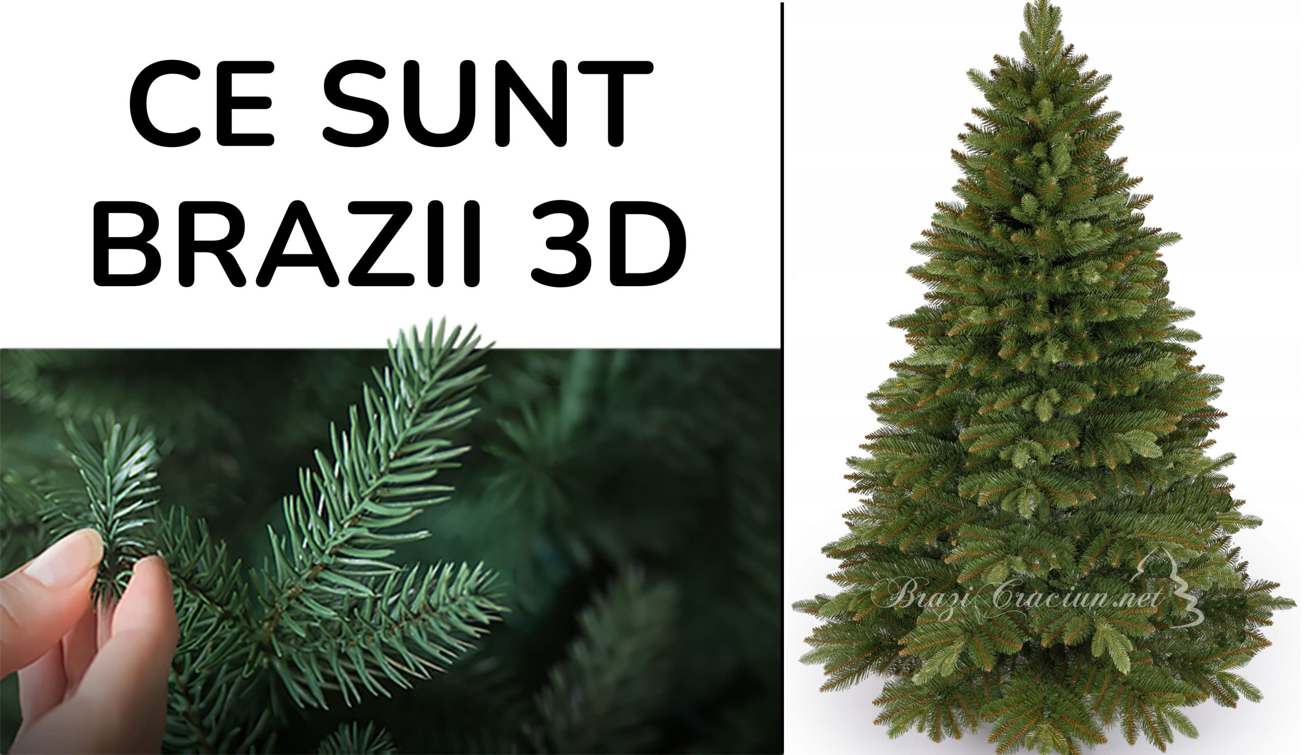 ce sunt brazii 3D