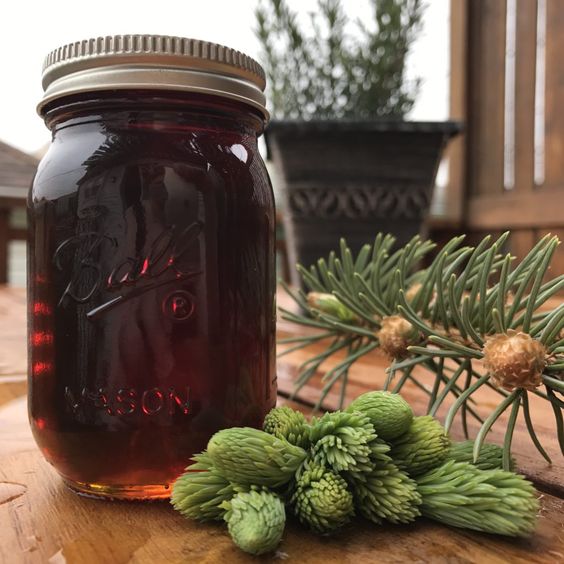 sirop de brad reteta