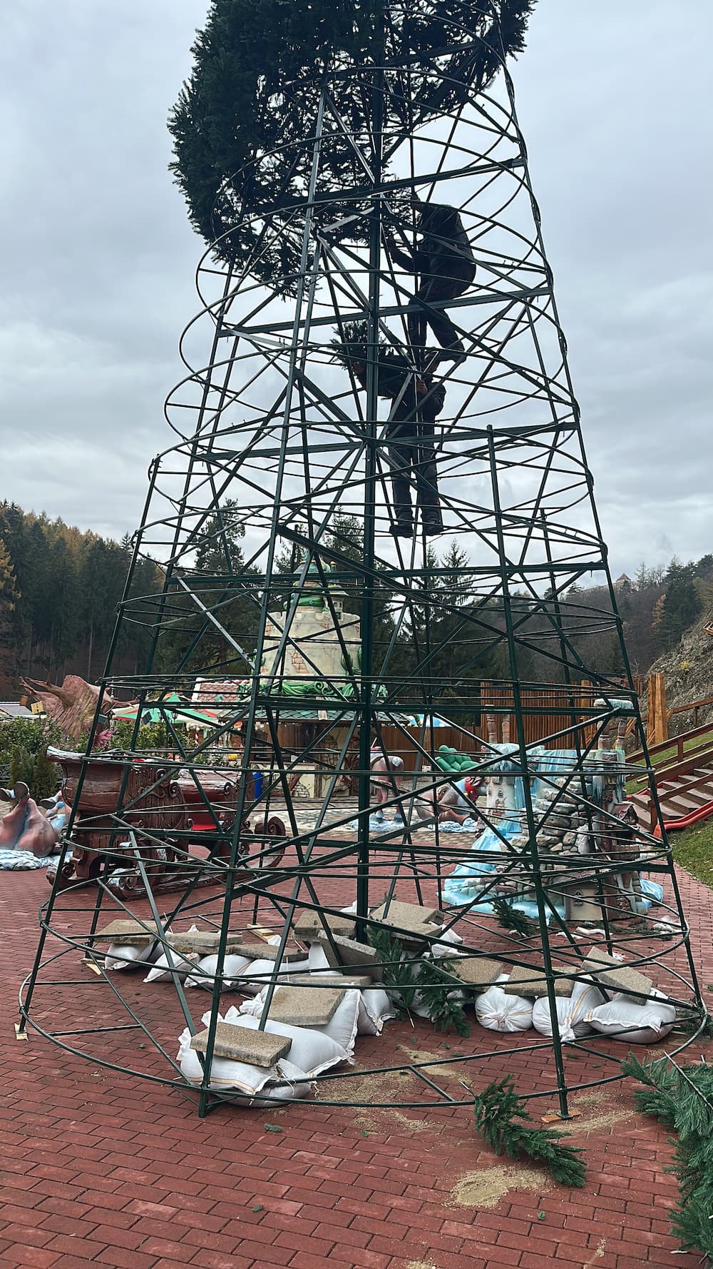 structura metalica brad gigant